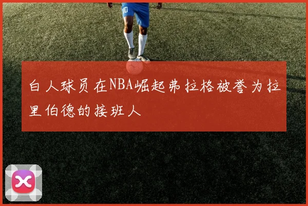 白人球员在NBA崛起弗拉格被誉为拉里伯德的接班人